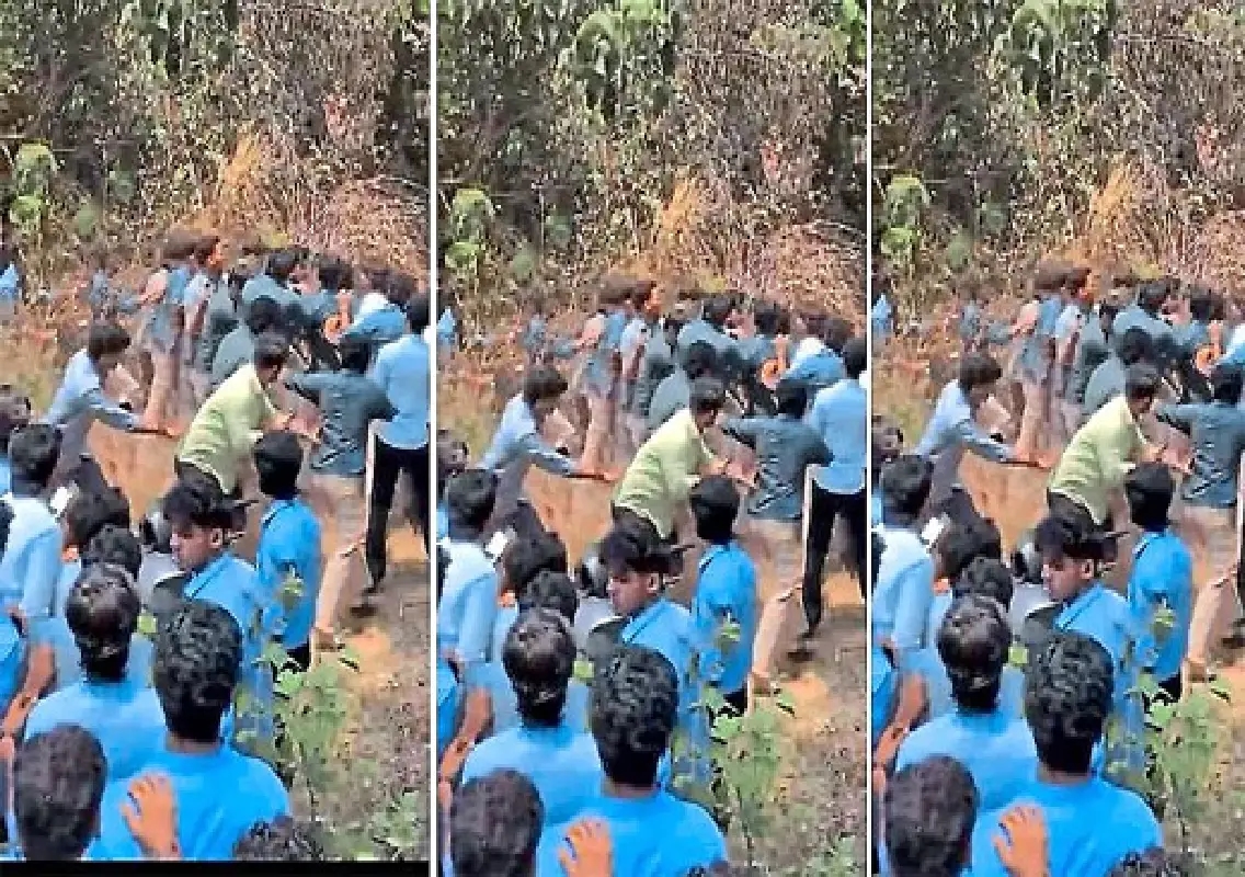Student clash near Ullal goes viral, no complaint filed: WATCH - News Karnataka
