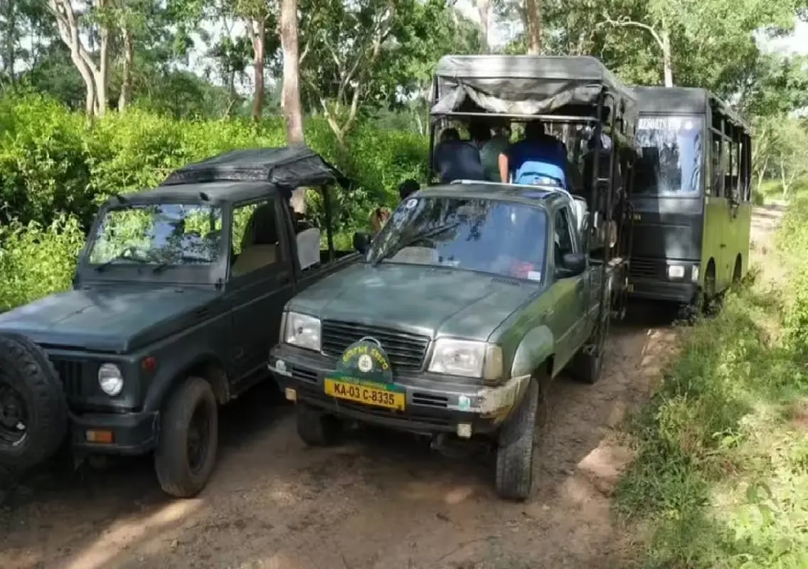 Tiger reserve safaris earn Rs 24 crore despite shutdown loss - News Karnataka