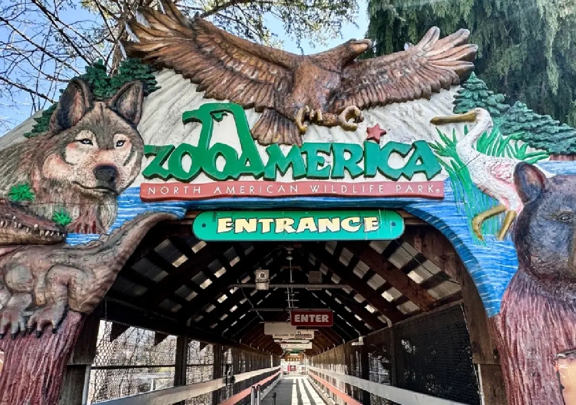 Toddler injured after entering wolf enclosure at US zoo - News Karnataka