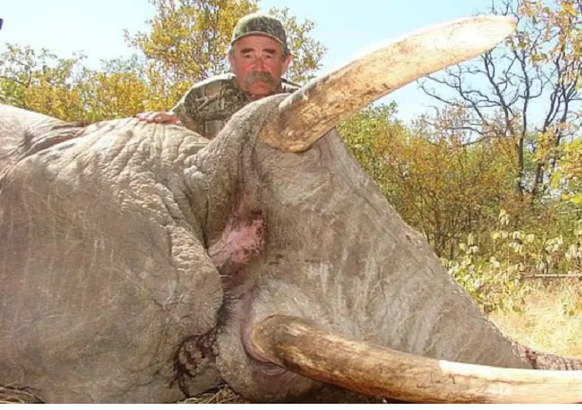 US millionaire hunter killed after elephant attack in Africa - News Karnataka