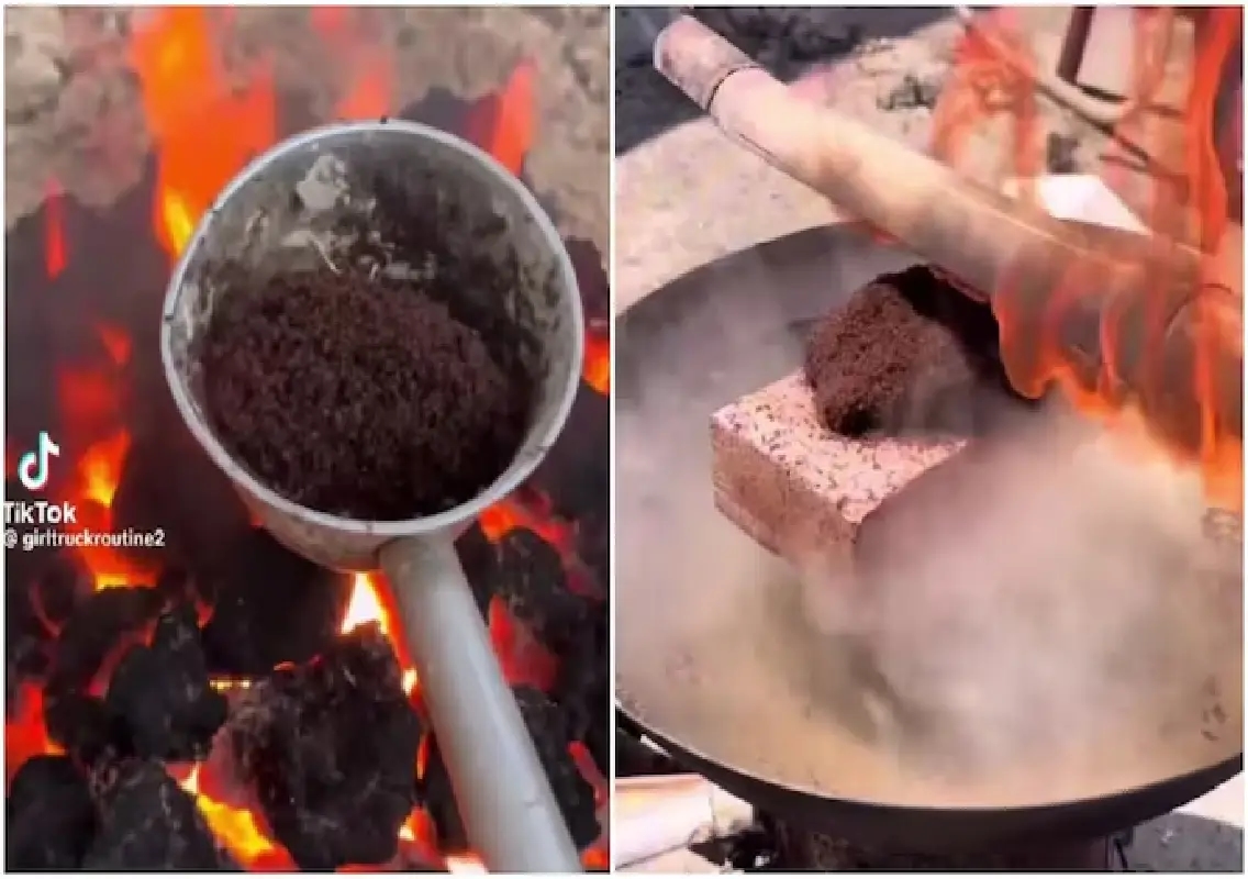 Viral ‘mass murder of ants’ video shocks internet users: WATCH - News Karnataka