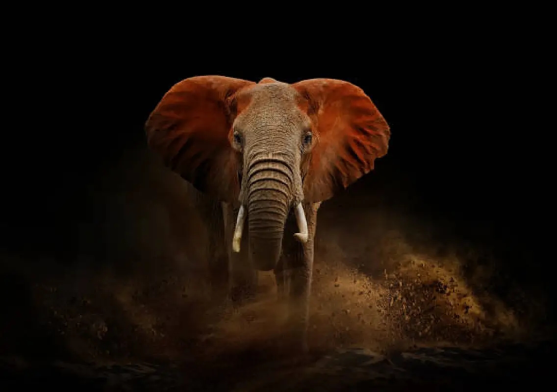 Wildlife attacks claim 53 lives in Karnataka, data shows - News Karnataka