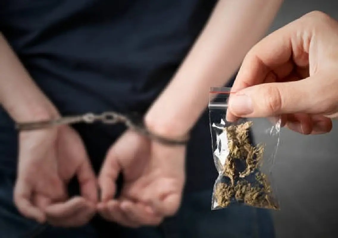 ₹21.5 crore hydroponic ganja seized at airport, four held - News Karnataka