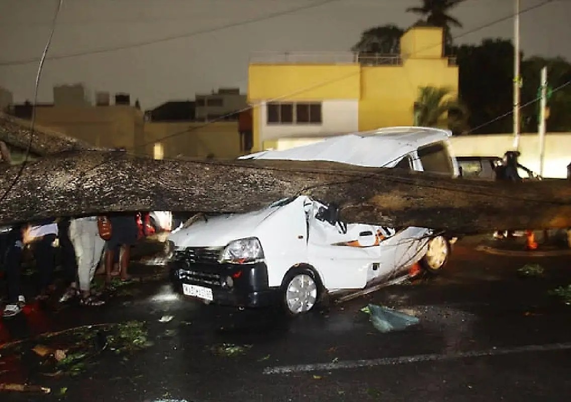 Bengaluru rains uproot 170 trees, city faces chaos - News Karnataka