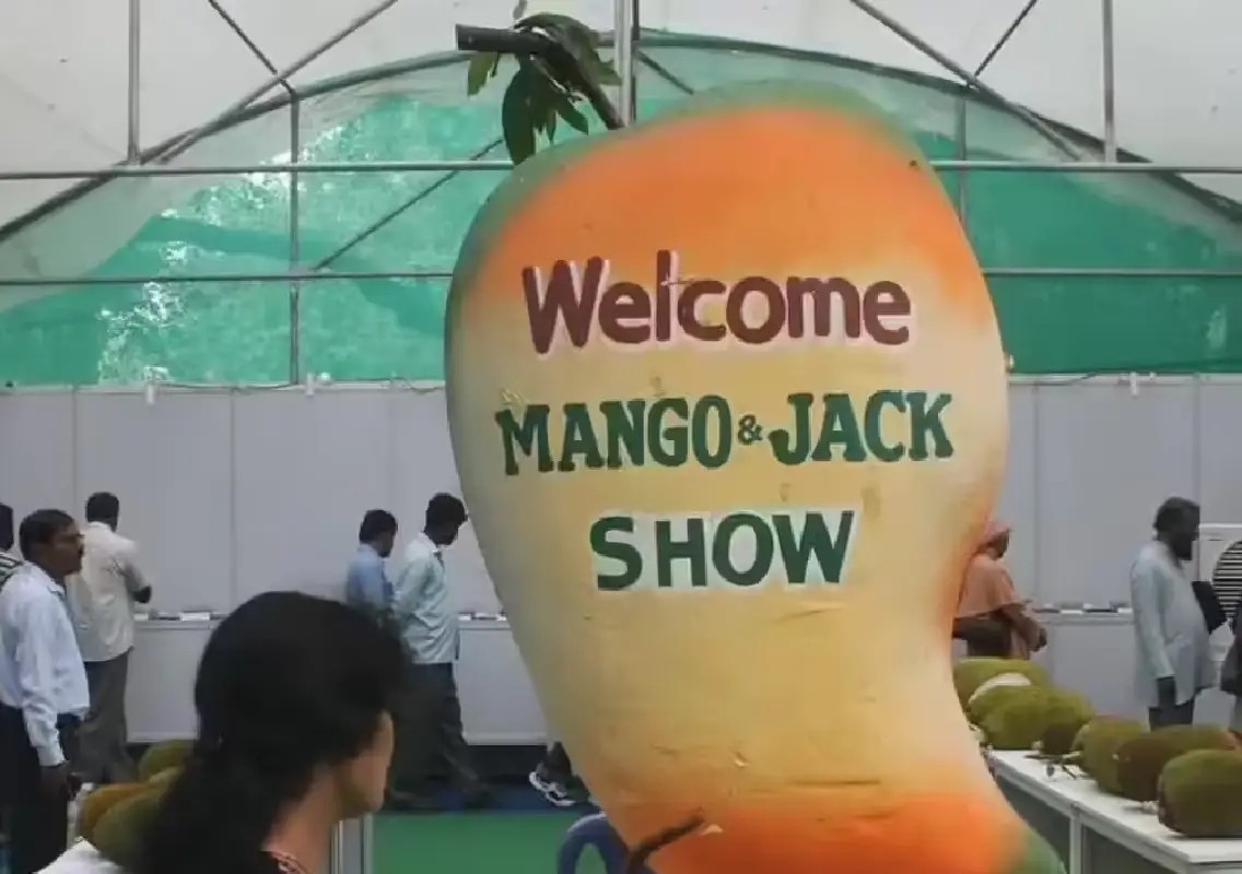 Bengaluru to celebrate mango and jackfruit festivals twice this year - News Karnataka