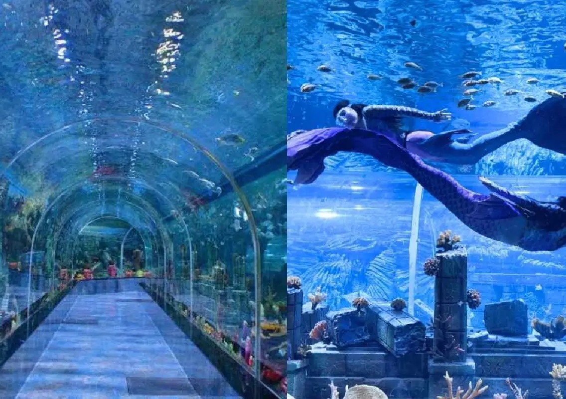 Bengaluru to get massive aquarium and scuba diving attraction - News Karnataka