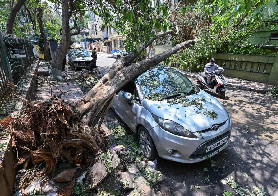 Bengaluru urges residents to remove dangerous trees before monsoon - News Karnataka