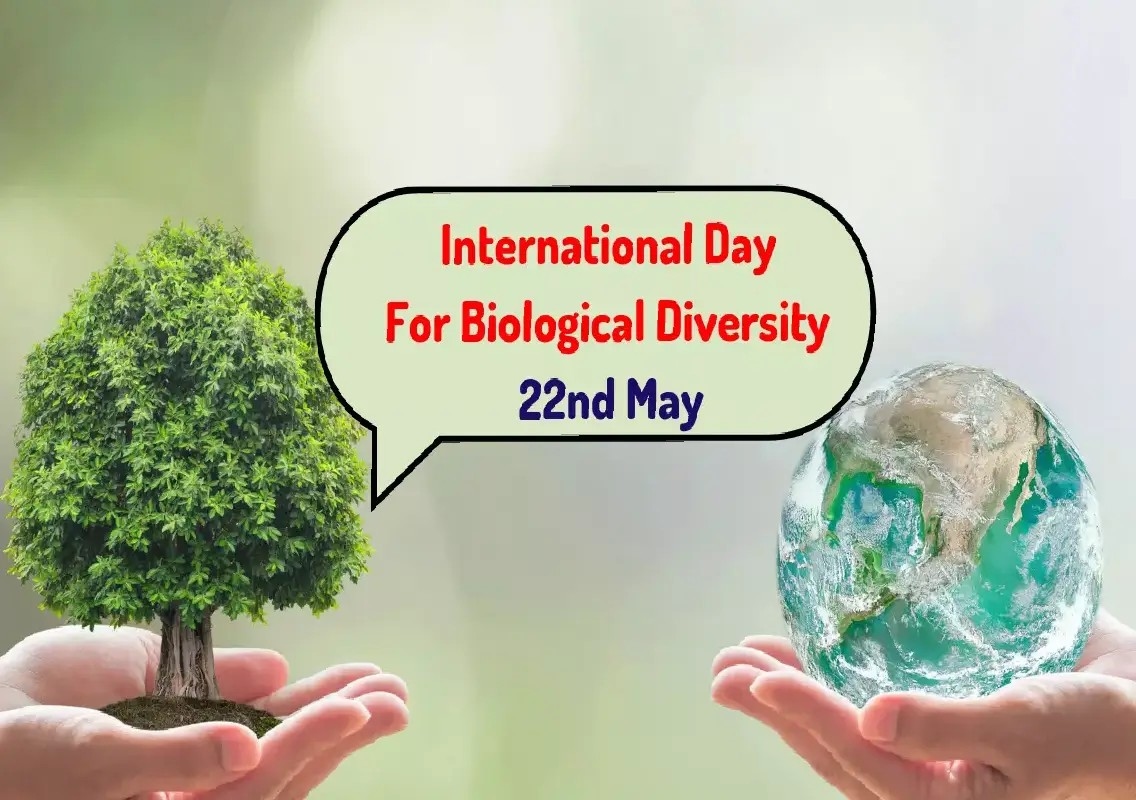 Biodiversity protection begins with local action this May 22 - News Karnataka