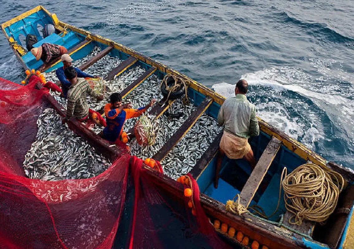Coastal fishing season ends on a positive note - News Karnataka