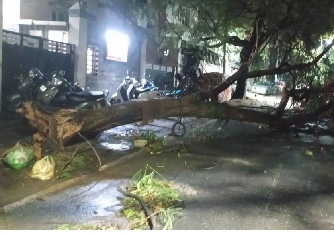 Cobbler electrocuted, FIR filed against civic and power officials - News Karnataka