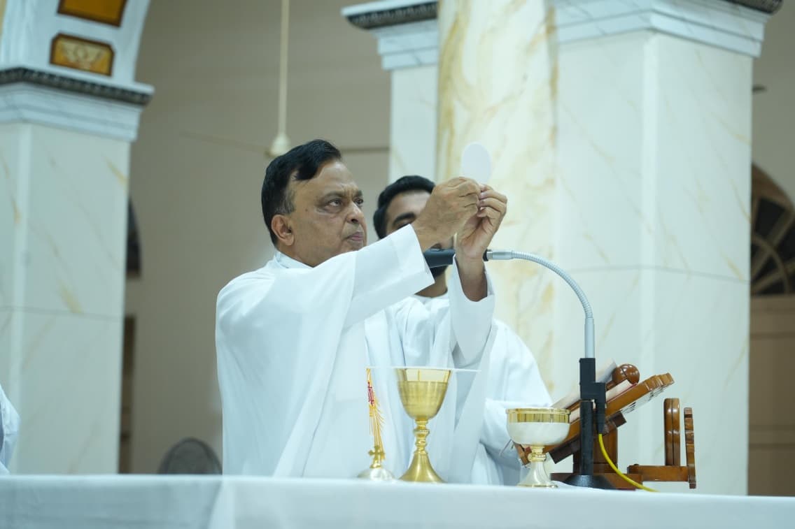 Gallery image 13