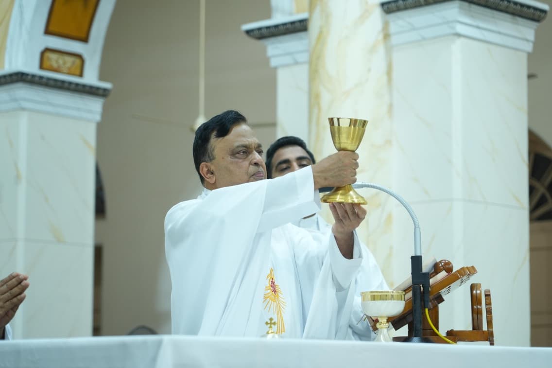 Gallery image 14