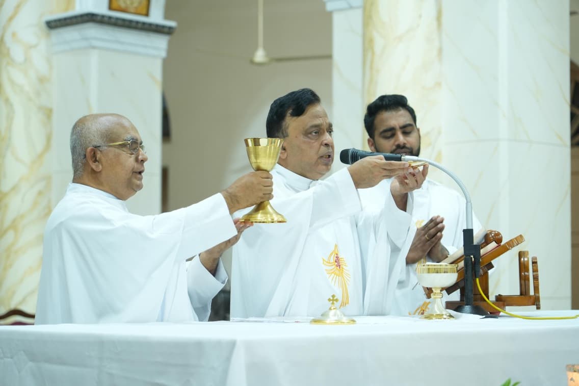 Gallery image 15