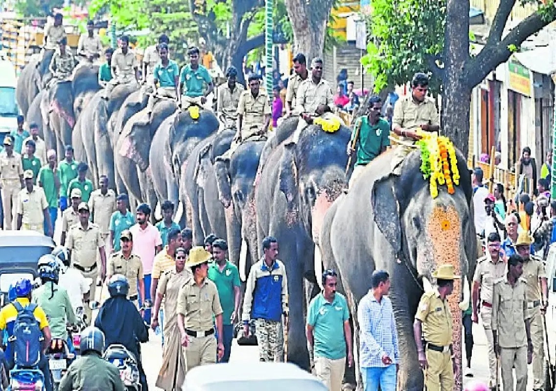 Dubare incident revives debate on elephants in Dasara - News Karnataka