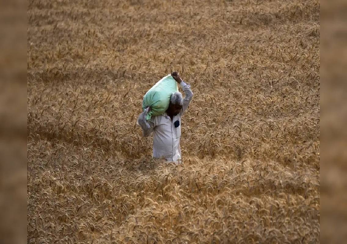 Fertiliser subsidy may cross Rs 3 trillion in India - News Karnataka