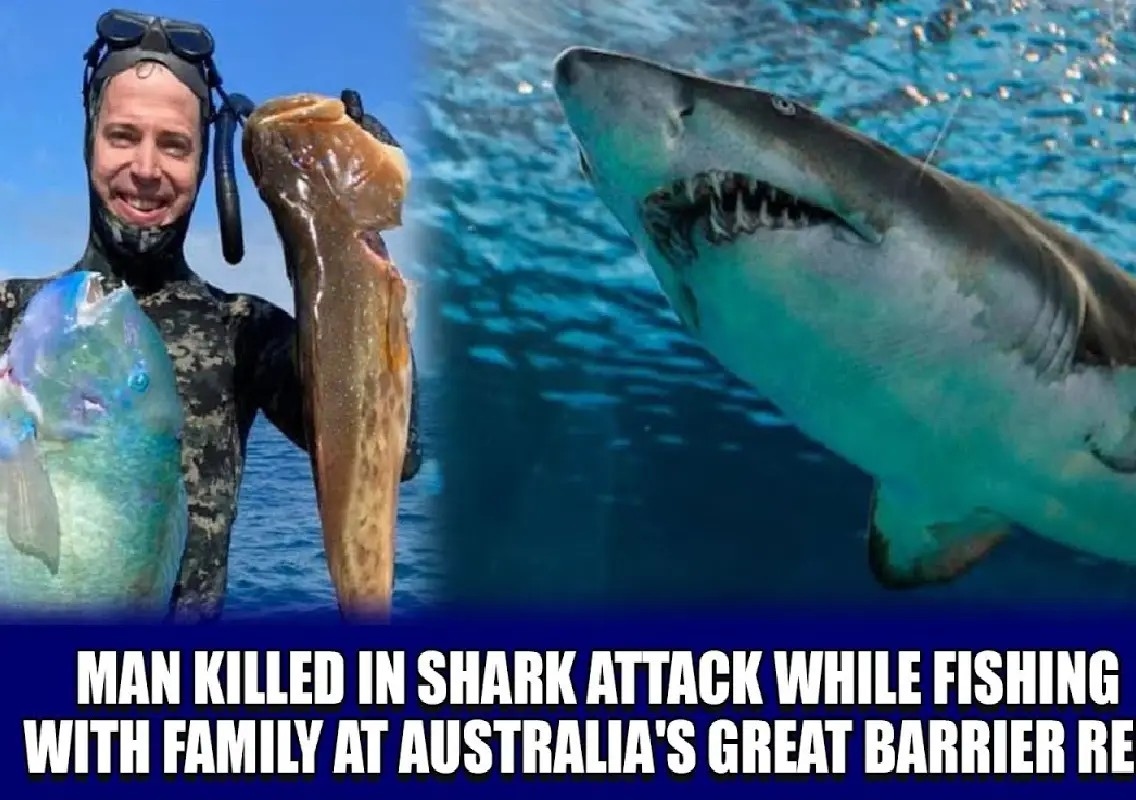 Fisherman dies after shark attack near Great Barrier Reef - News Karnataka