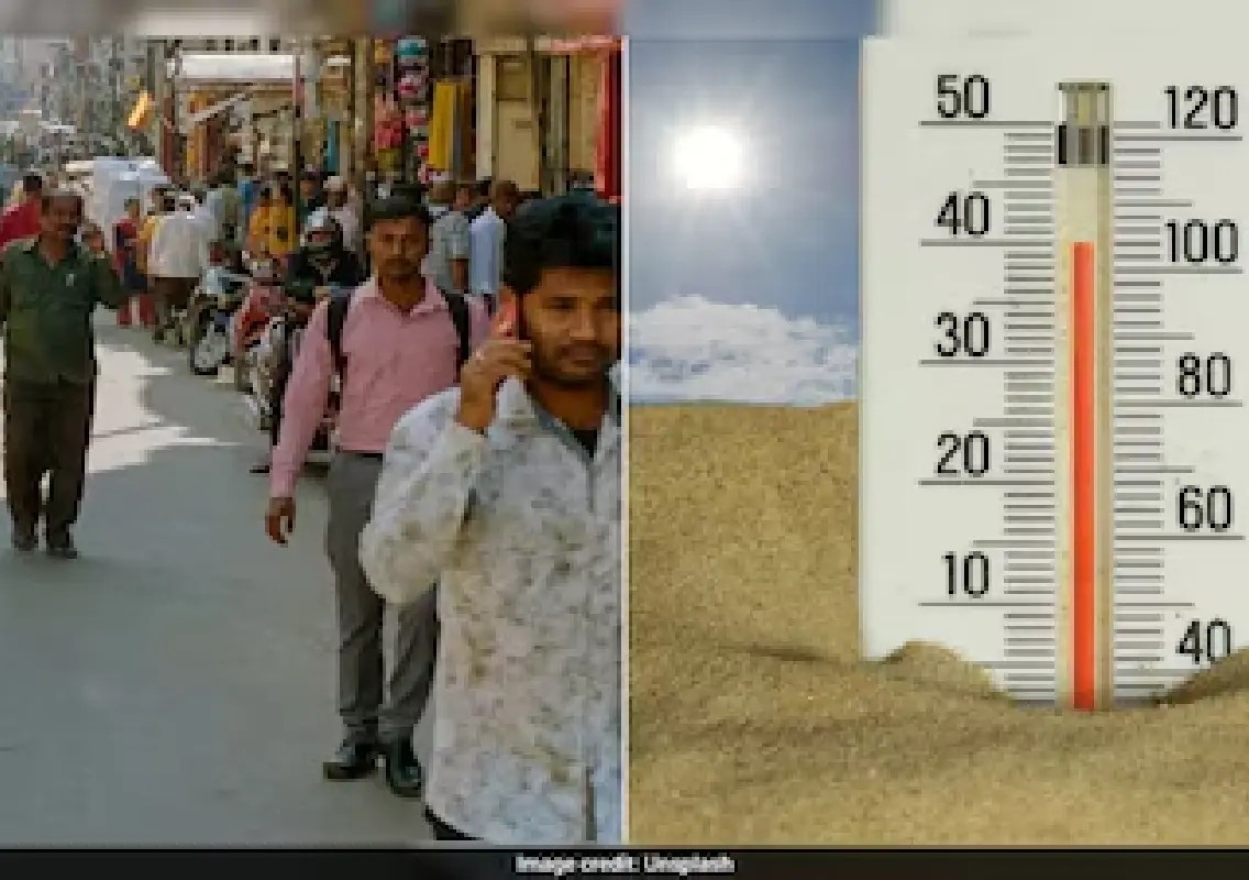 Forest officer warns Bengaluru heat linked to tree loss - News Karnataka