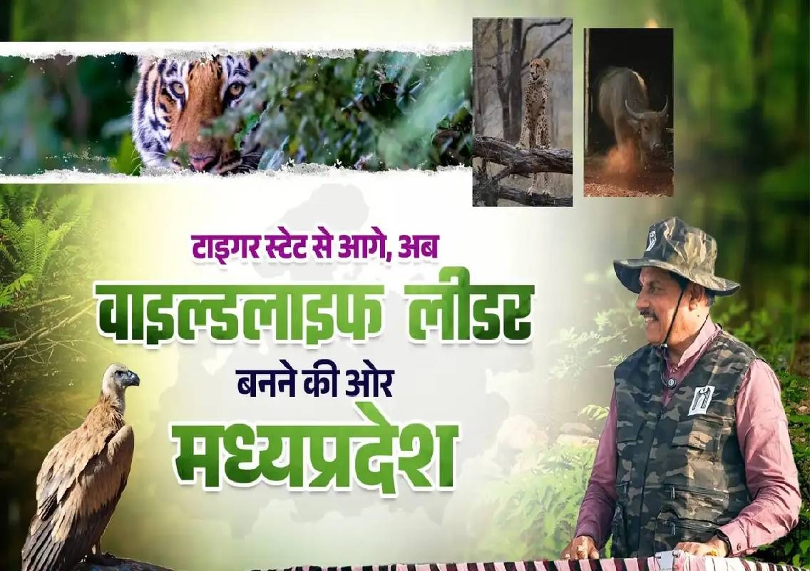 MP expands beyond Tiger State with wildlife push - News Karnataka
