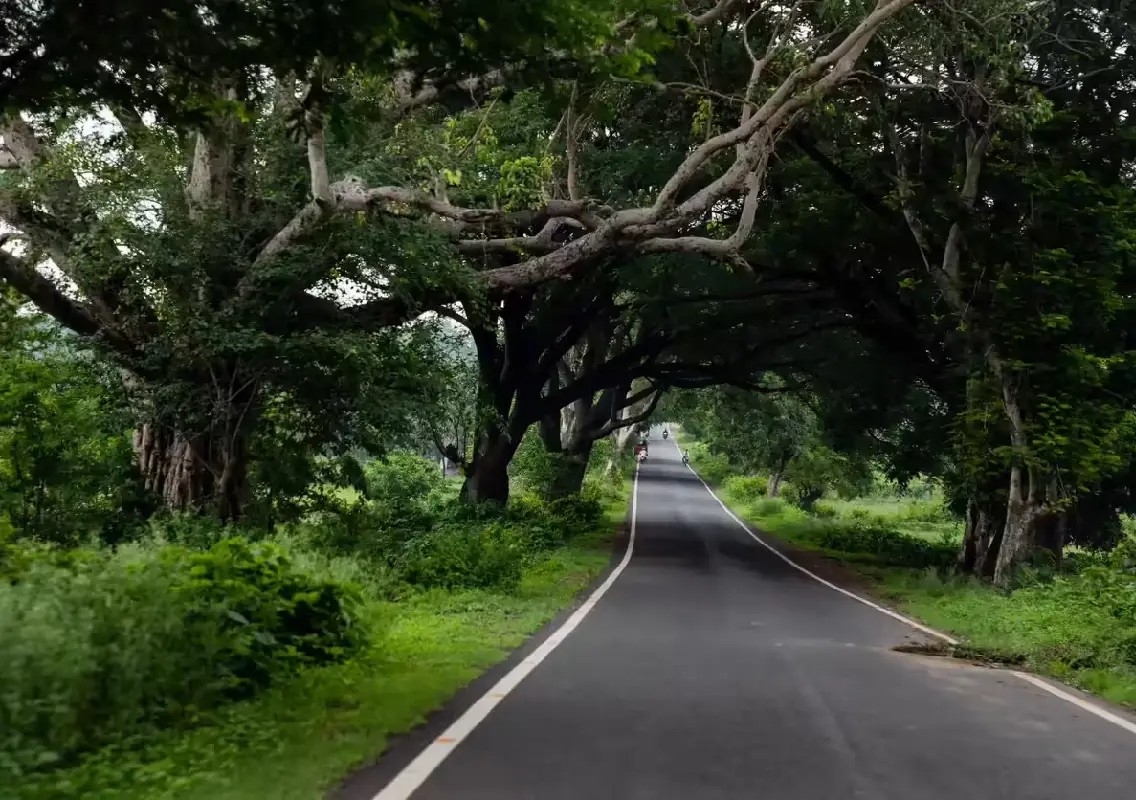Gadkari orders monsoon readiness for Karnataka highways - News Karnataka