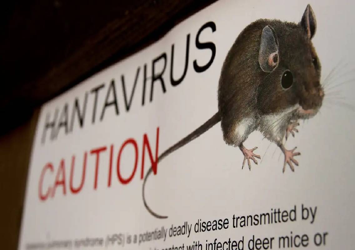 US quarantine unit monitors hantavirus cruise passengers - News Karnataka