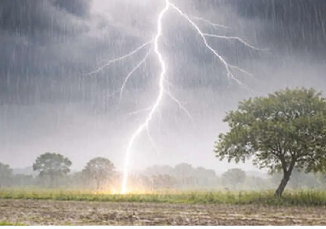 Heatwave grips city, thunderstorms to bring relief this week - News Karnataka