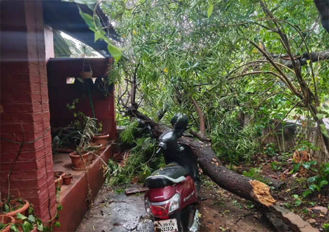 Heavy rain and strong winds cause widespread damage in Udupi - News Karnataka