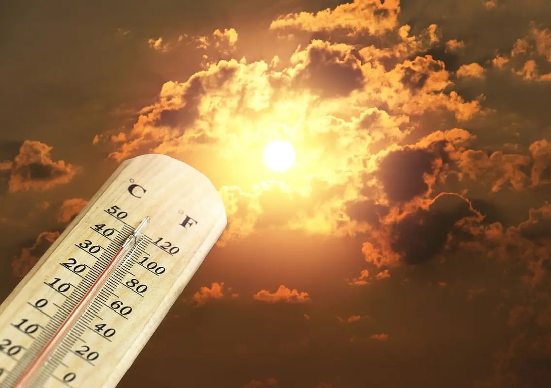 India reels under brutal heatwave as mercury nears 47°C - News Karnataka