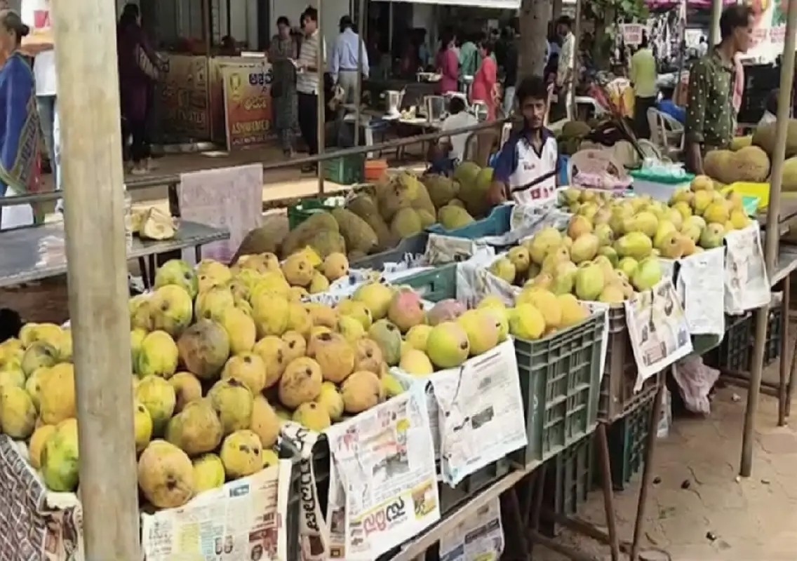 Jackfruit and Fruit Fair draws large crowds in Brahmavar - News Karnataka