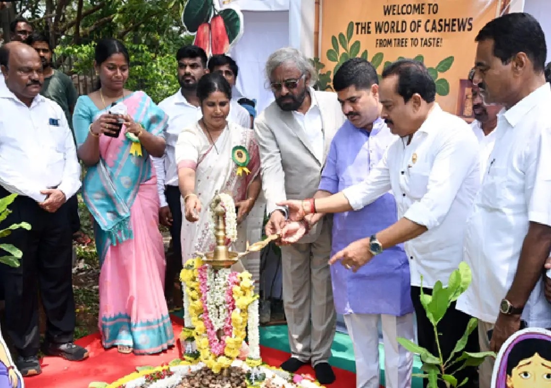 Karnataka to provide Rs 1 crore grant for cashew cultivation - News Karnataka
