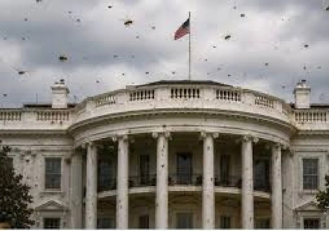 Massive bee swarm near White House sparks viral reactions - News Karnataka