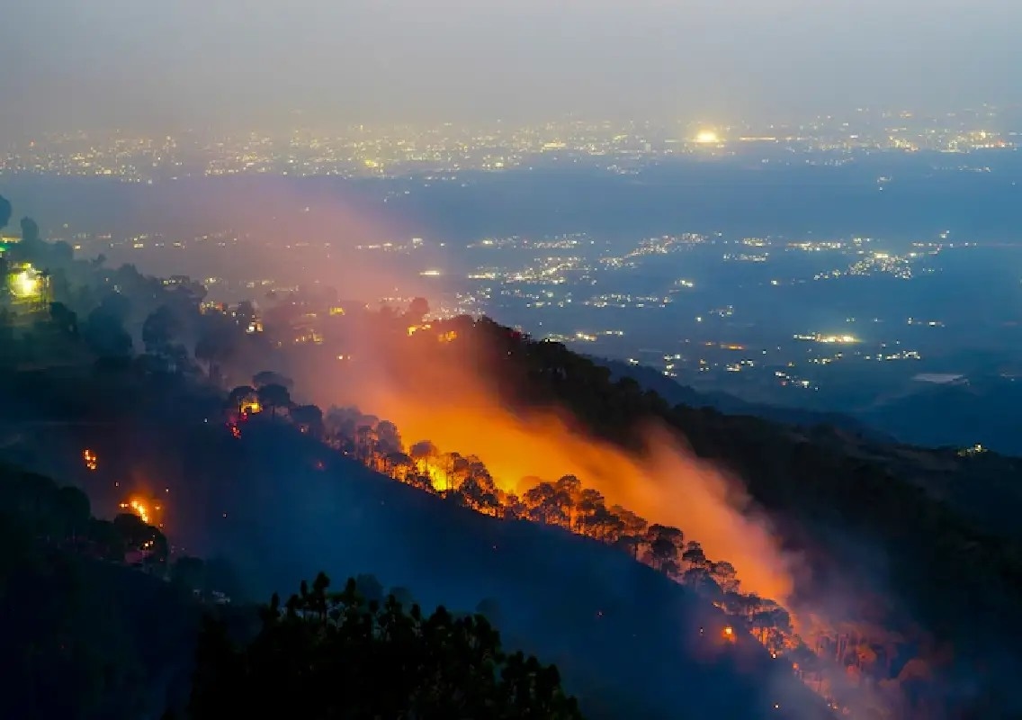 Massive forest fire engulfs Kasauli hills: WATCH - News Karnataka