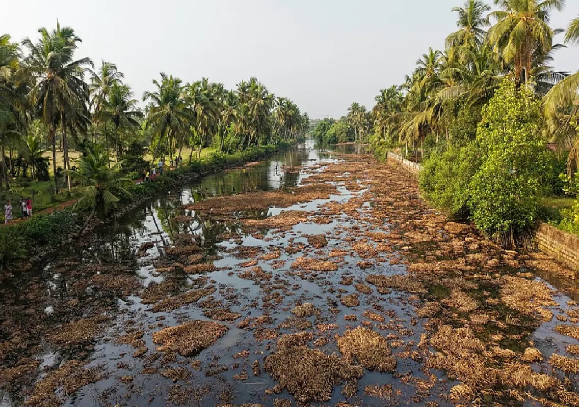 Nandini River pollution affects Khandige fish ritual - News Karnataka