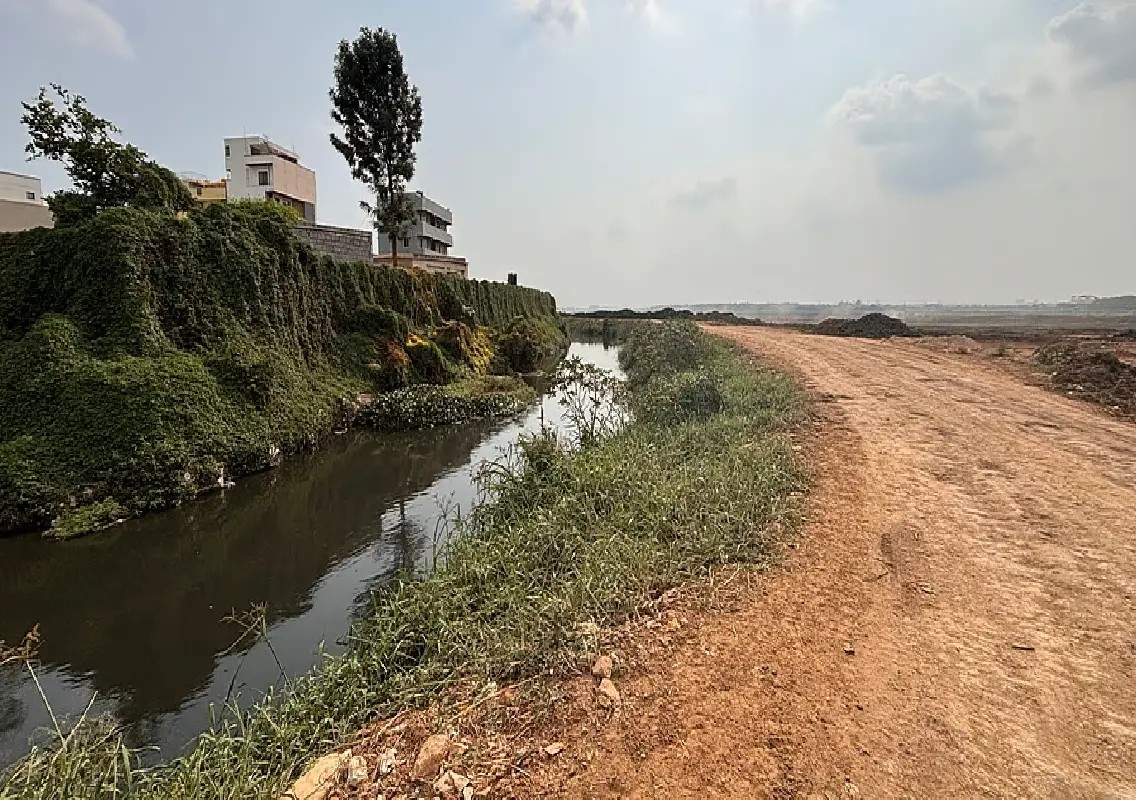 Rainwater to flow back into Bellandur Lake after five years - News Karnataka