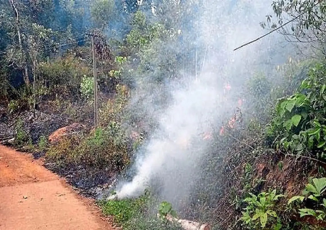Residents douse hillock fire in Sullia amid delayed response - News Karnataka