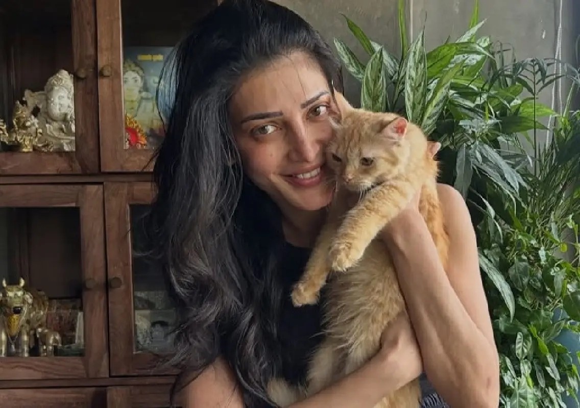 Shruti Haasan adopts rescued ginger cat Aslan - News Karnataka