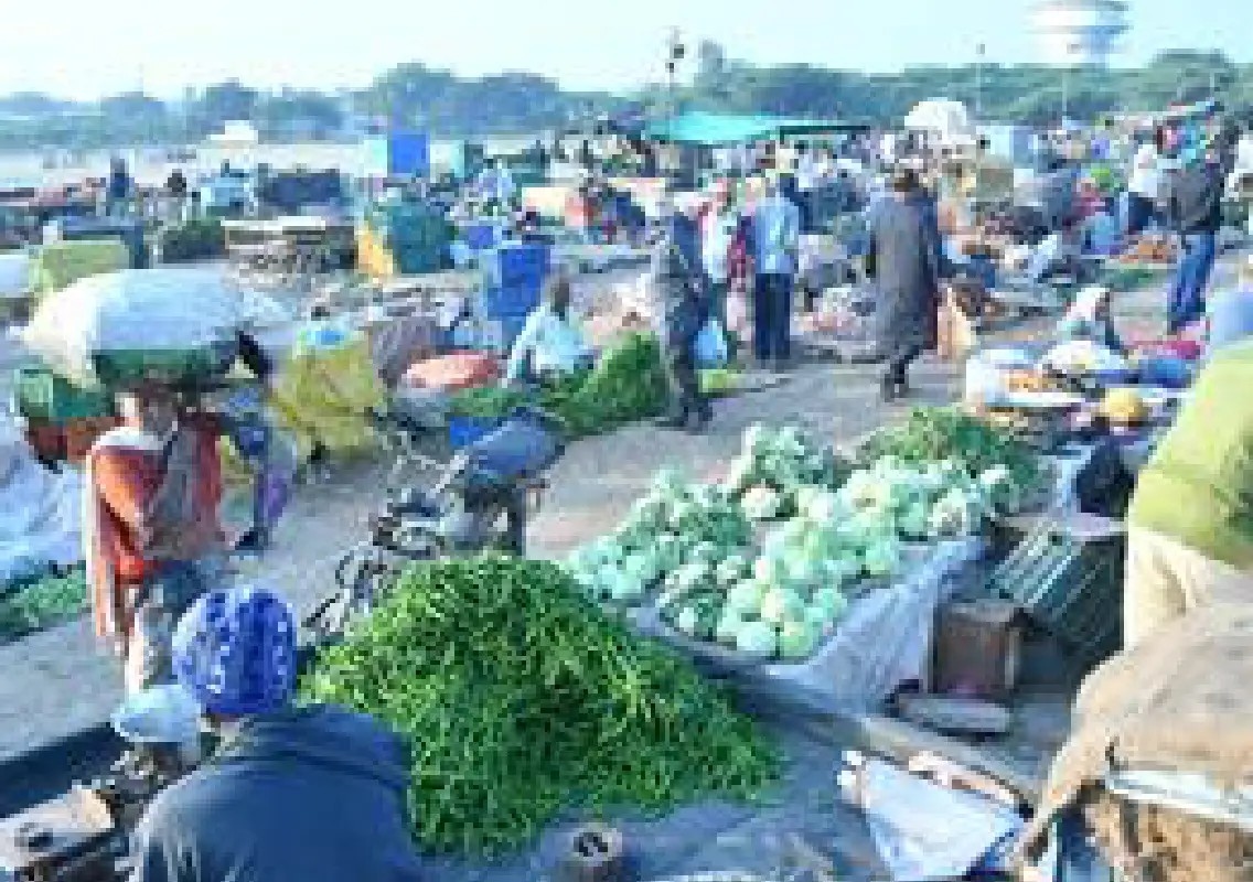 Supreme Court clears path for Bengaluru mega agri market - News Karnataka