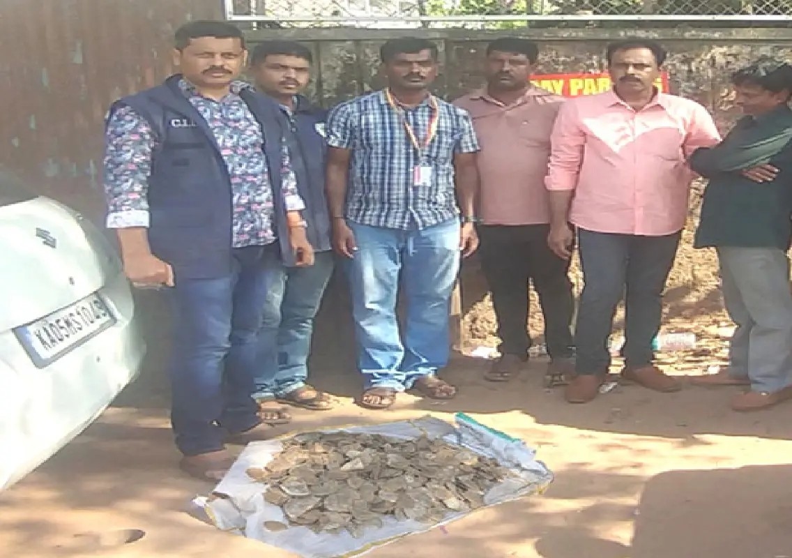 Three arrested for attempting to sell pangolin scales - News Karnataka