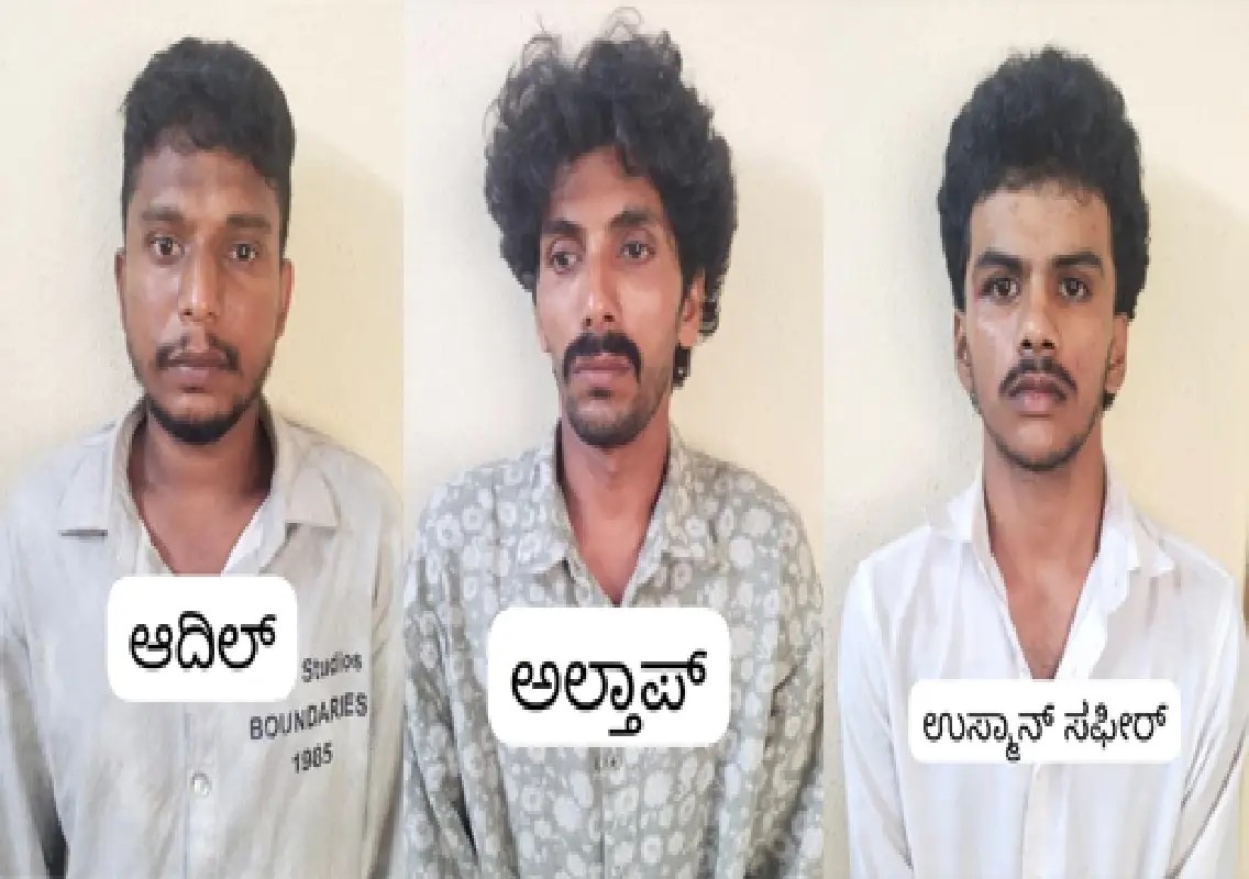 Three booked for alleged harassment at waterfall spot - News Karnataka