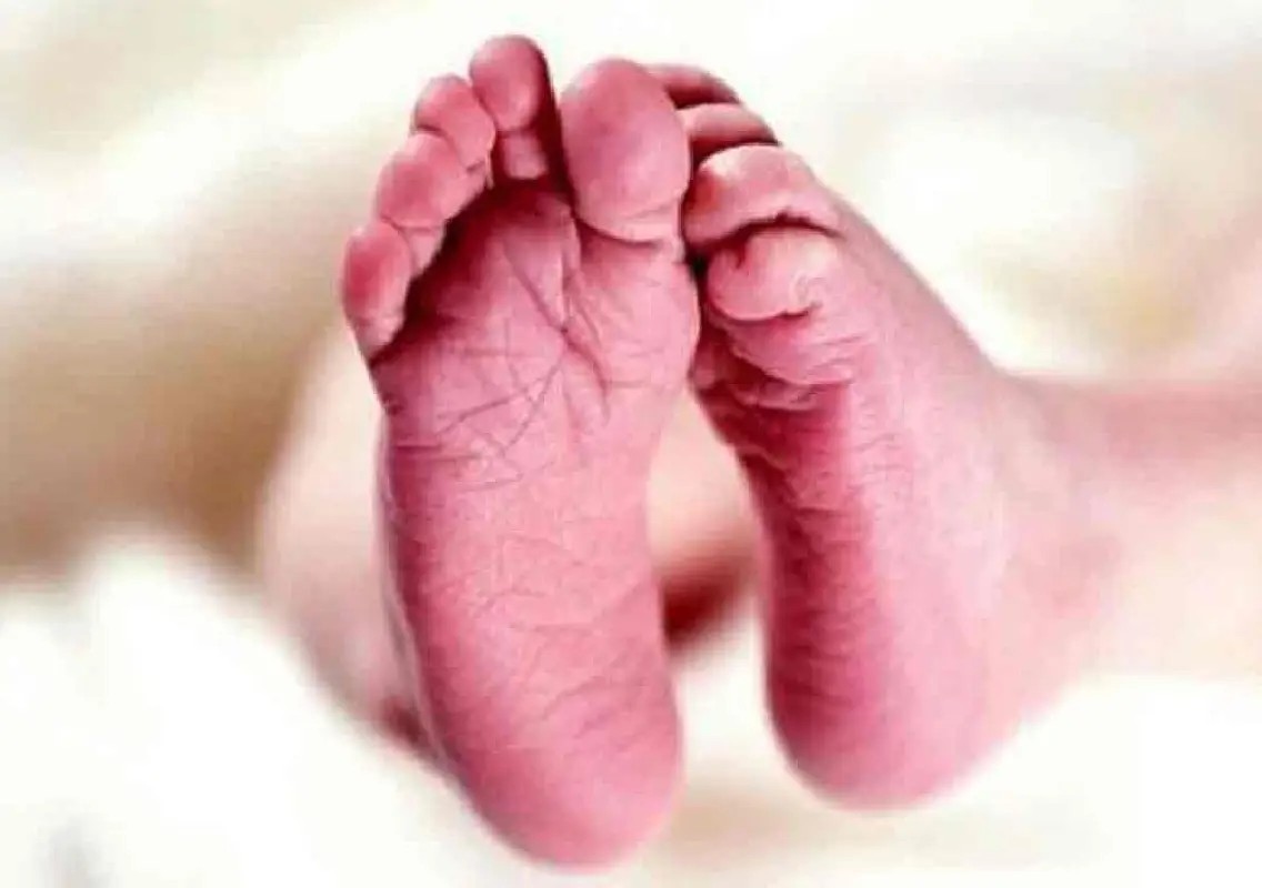 Toddler dies after falling into water bucket at home - News Karnataka