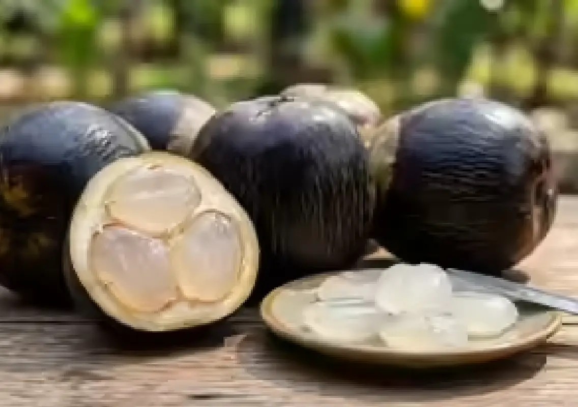 Why ice apple is becoming summer’s most refreshing fruit - News Karnataka
