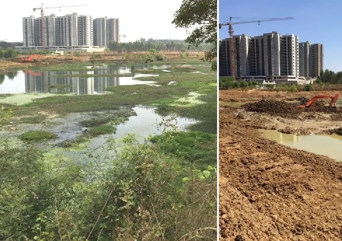 32 Bengaluru lakes remain severely polluted despite revival efforts - News Karnataka