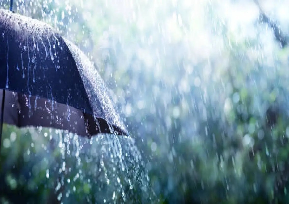Active monsoon likely to bring widespread rain across Karnataka - News Karnataka