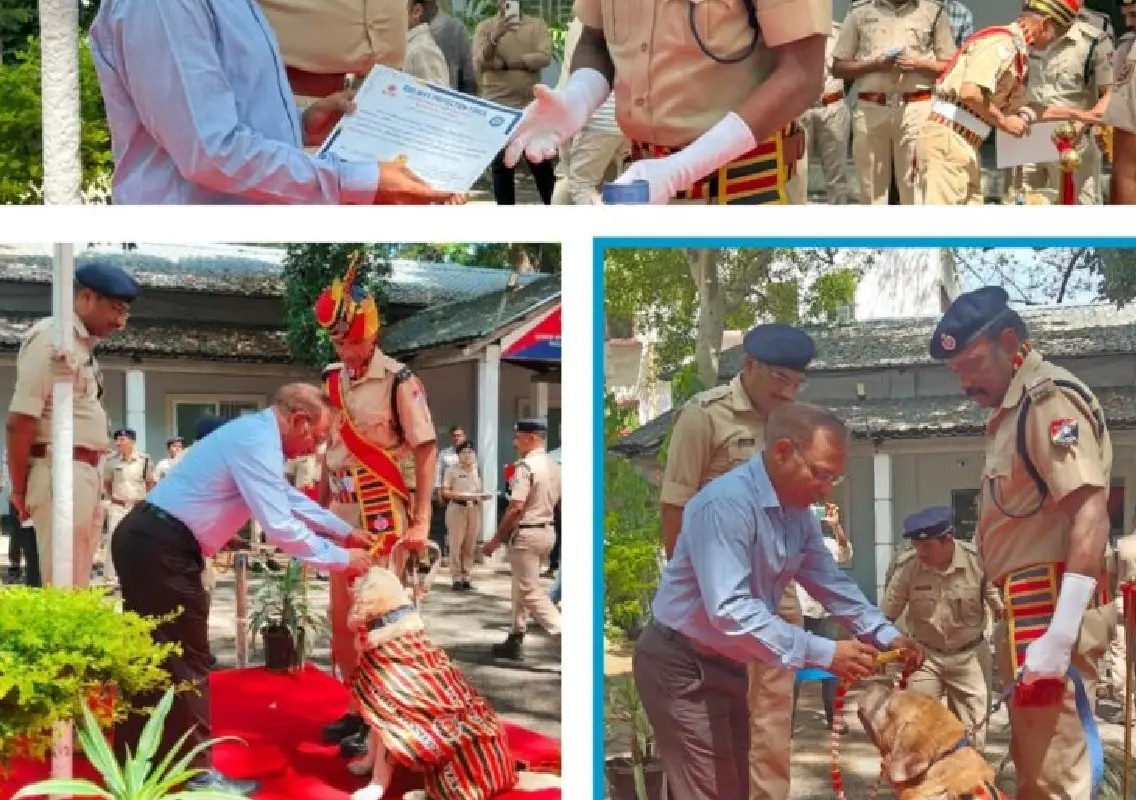 After years of service, railway sniffer dogs Arjun and Amar retire - News Karnataka