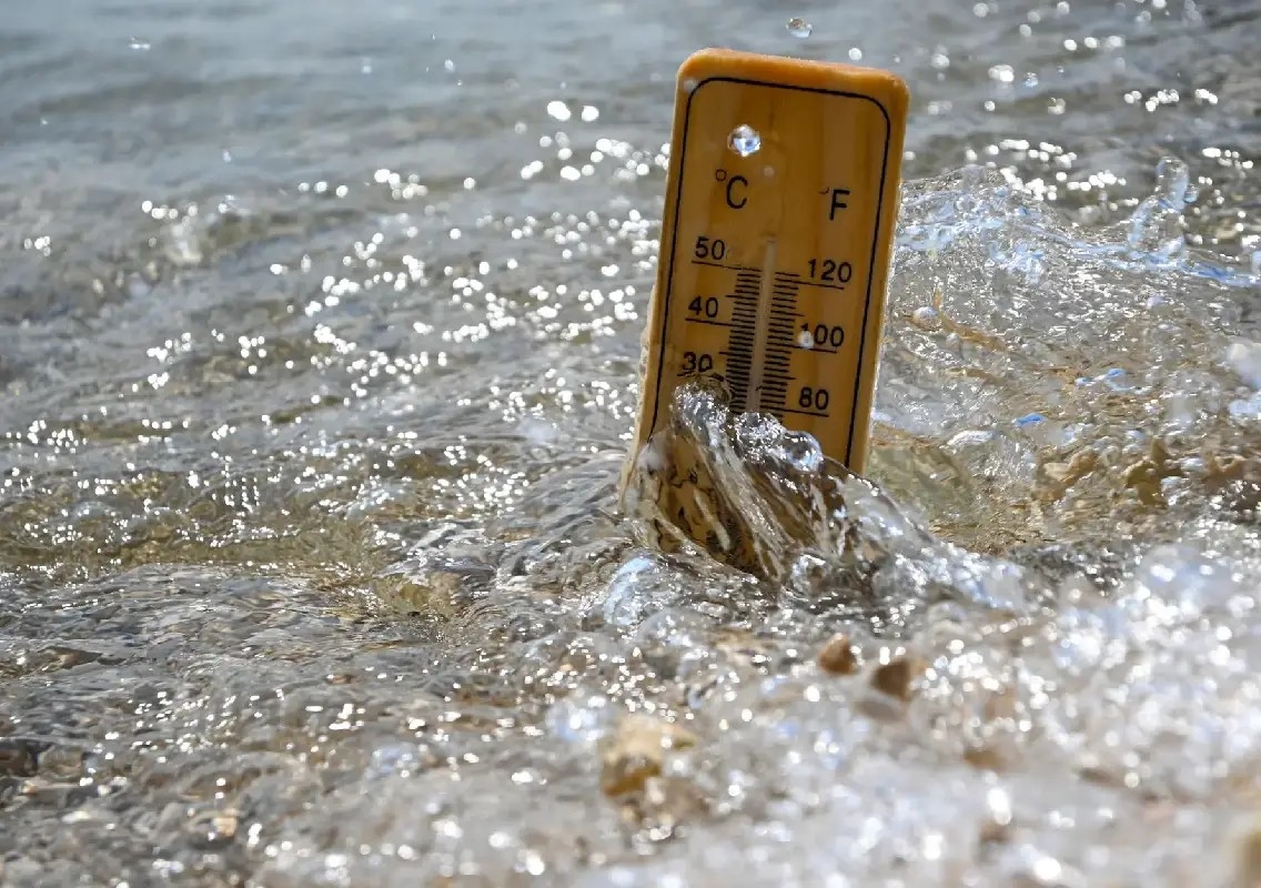 Atlantic waters off France hit record temperatures, alarming scientists - News Karnataka