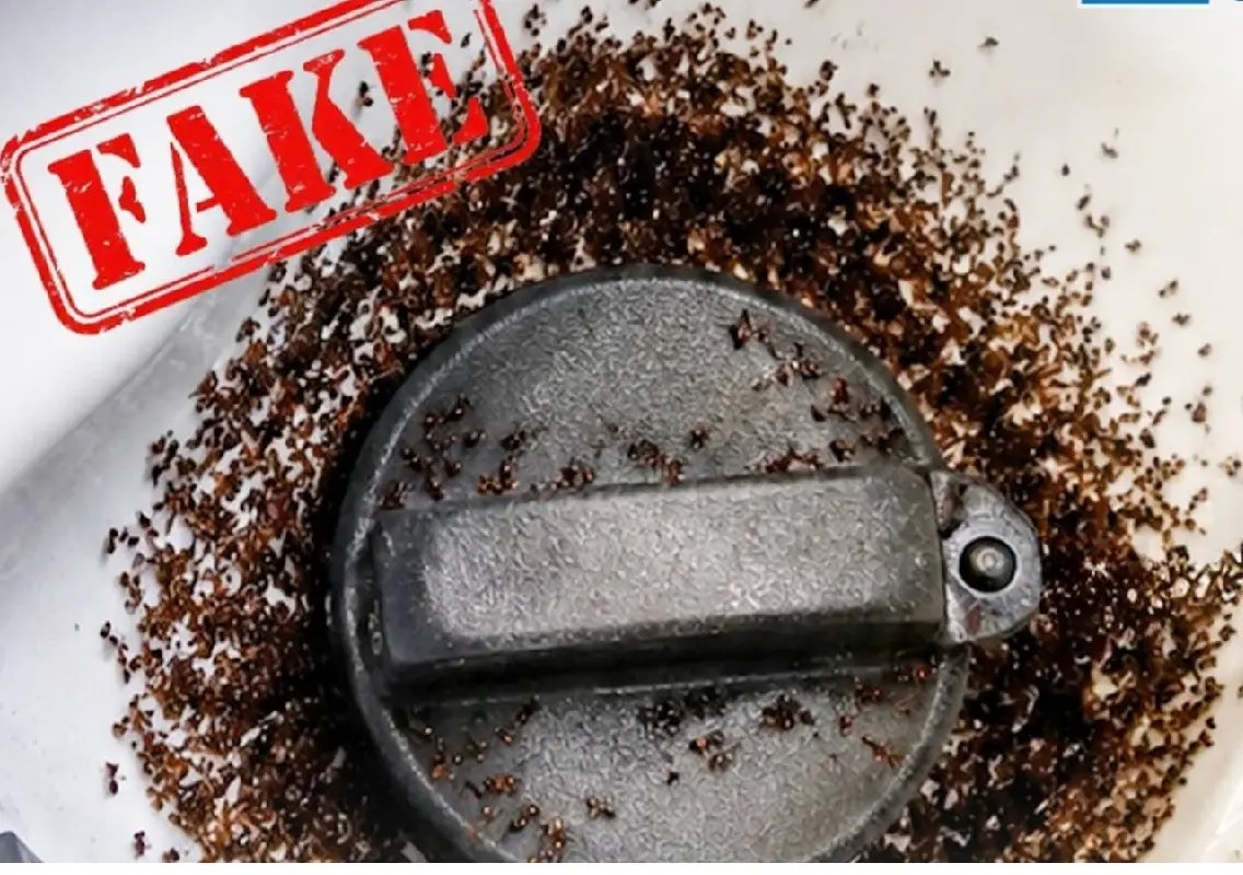 BPCL debunks viral claim that E20 petrol attracts ants - News Karnataka