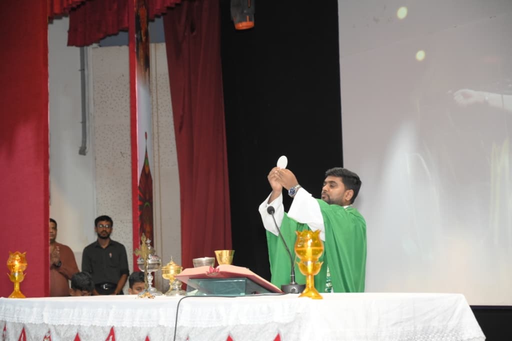 Gallery image 13