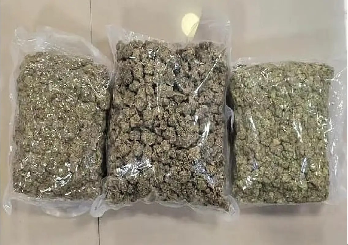 Bangkok passenger held with hydroponic ganja worth Rs 3.57 crore at KIA - News Karnataka