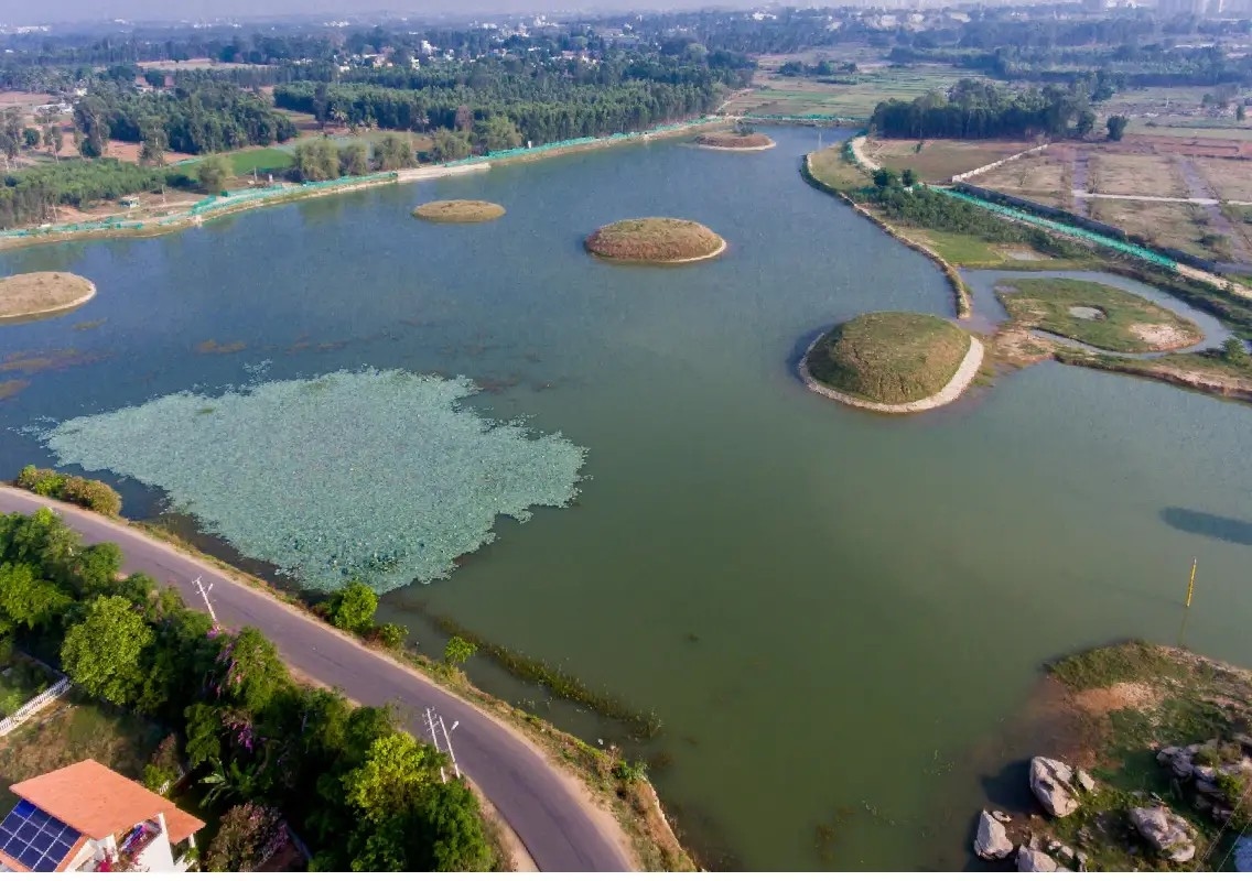 Bengaluru plans to revive lost lakes to tackle urban flooding - News Karnataka