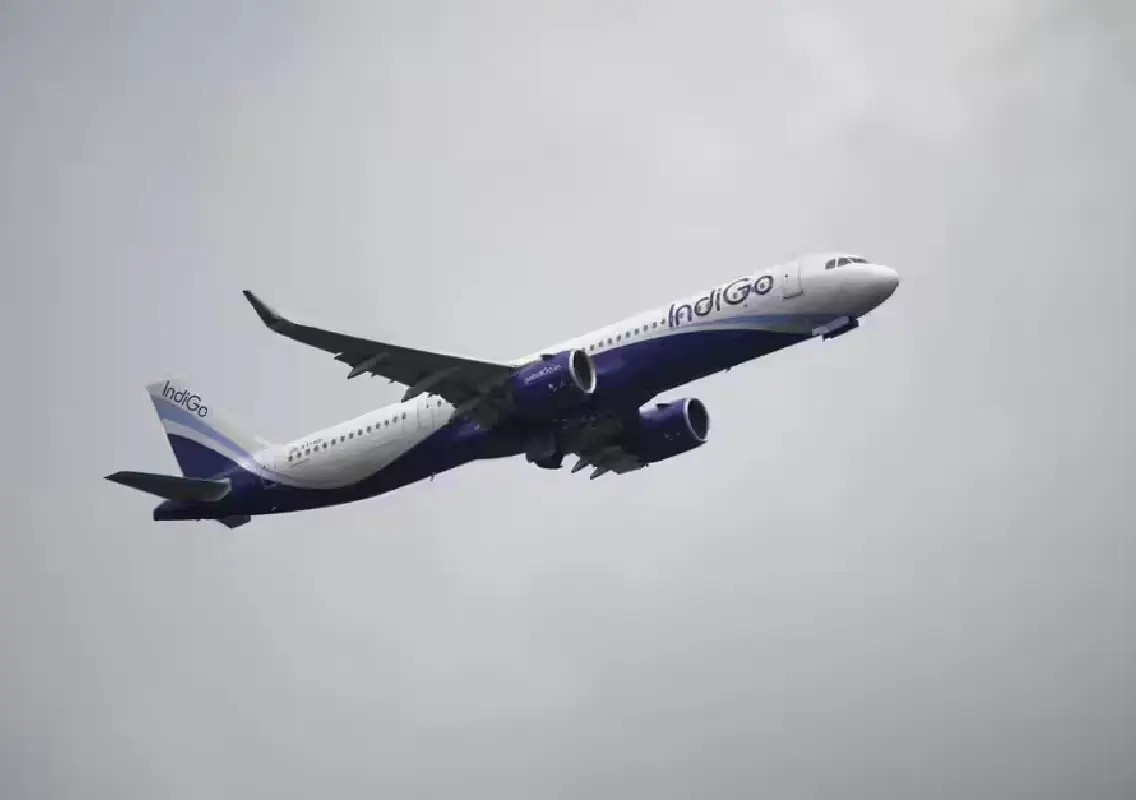 Bird strike delays Bengaluru-Mumbai IndiGo flight - News Karnataka