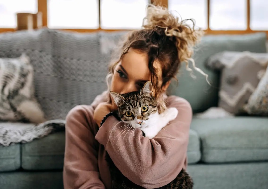 Cat owners may have healthier hearts, says study - News Karnataka